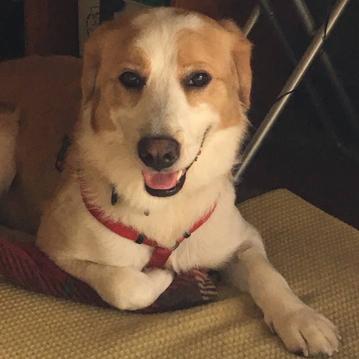 D7f3d023 2382 4950 8b1f 1c71823a4aa0