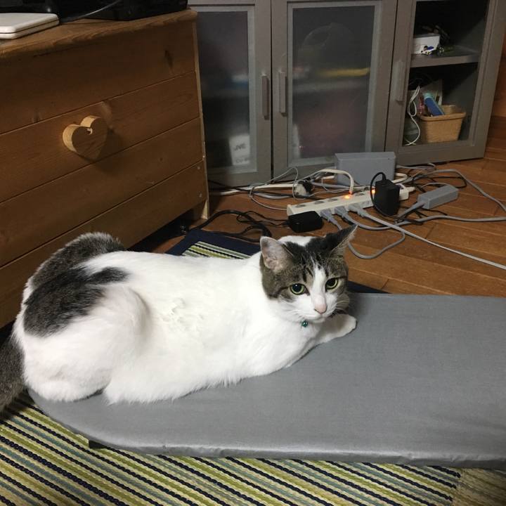 D7f40720 2a55 4b7e 895f fa13fb171528