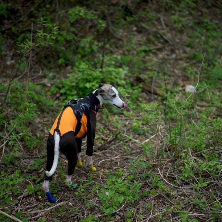 D7f42640 c45b 44fd bc04 bff07c08fe87