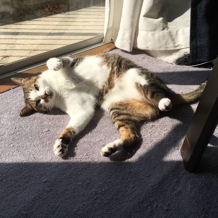 D7f4ee88 4bb9 4510 9ac9 4a84b7700ecc