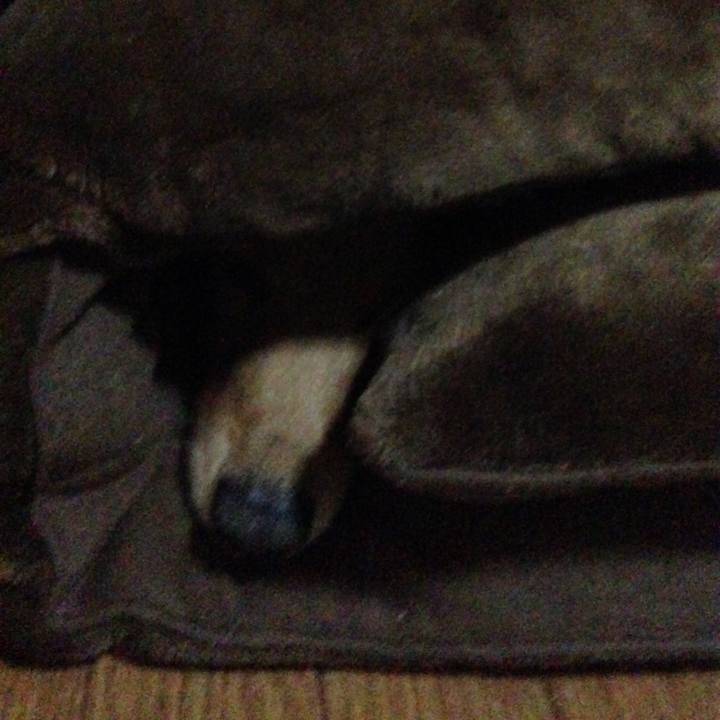 D7f4f714 3d6c 4adb a469 2ad8241b6891