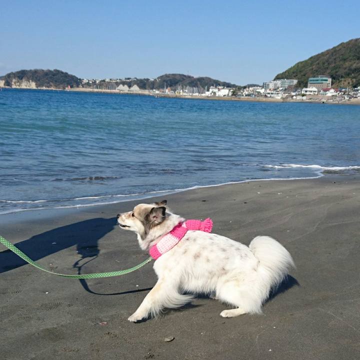 D7f4fe28 1e44 4294 8d04 9b2b817c1090