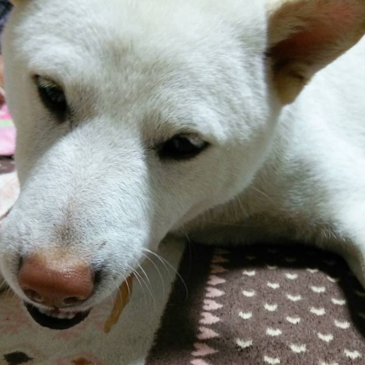 D7f58e63 de1e 4b66 8154 6a3f98d9e8d6