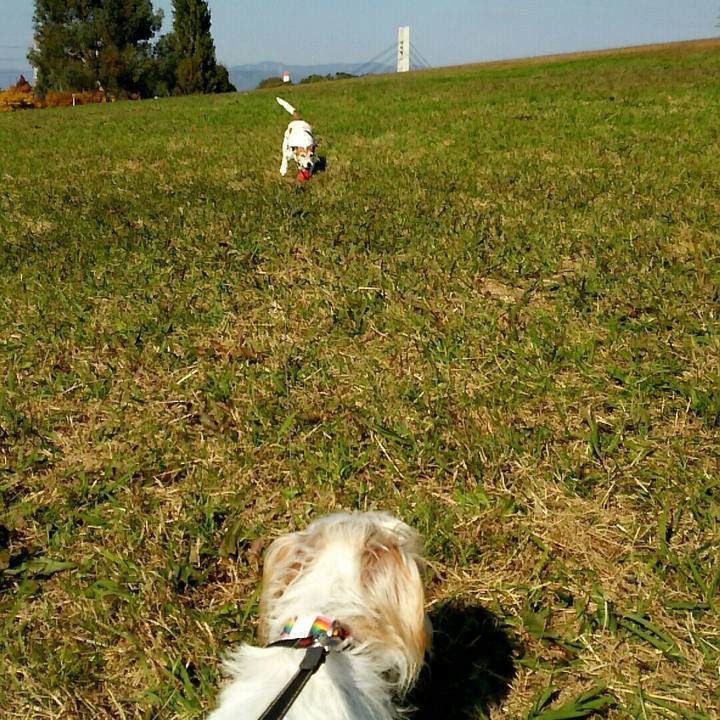 D7f5f6e1 86b3 4702 aee7 4fc490f6738f