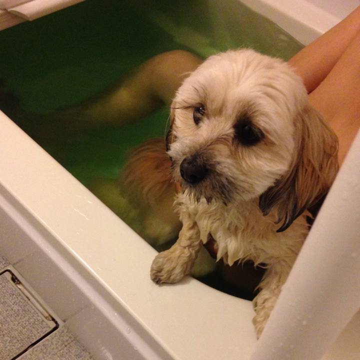 D7f642dc 3f54 4658 ae17 fff2abf6e8eb