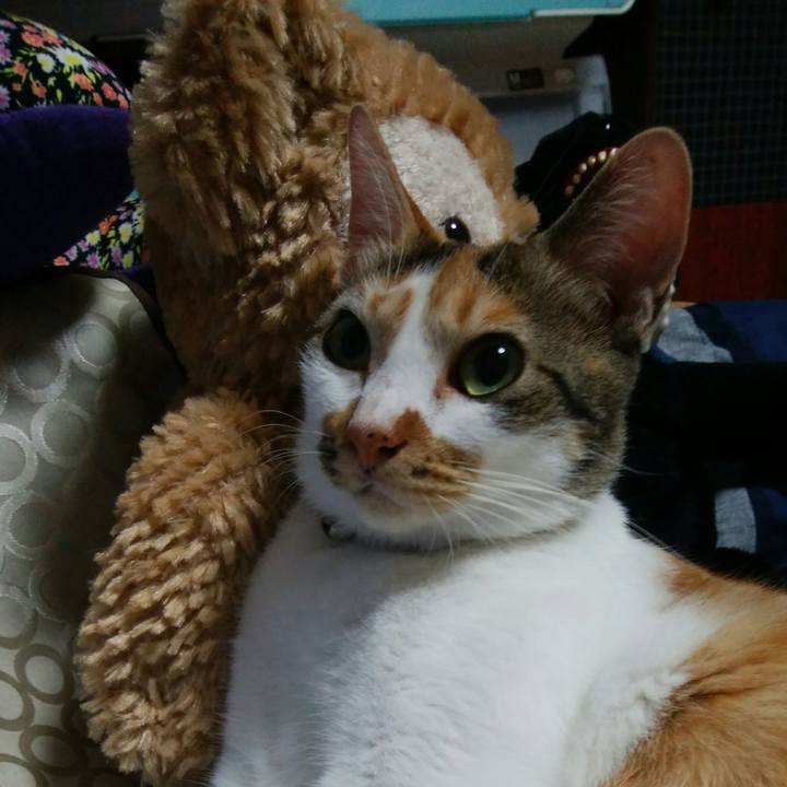 D7f6cbcb f326 40ab 9e97 aa312ac71719