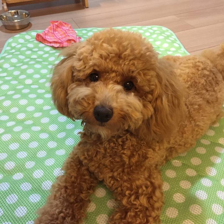 D7f853c3 5507 4017 8224 d99bb903c741