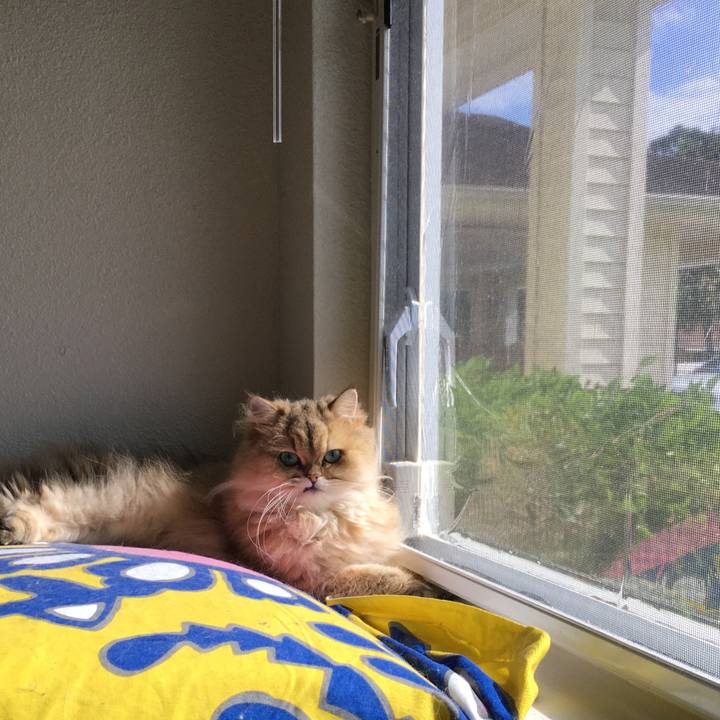 D7f89b45 8752 426a afa4 cfbf5b03d5c7