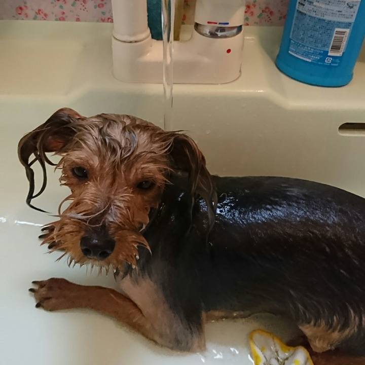 D7f8e797 9a1f 4aa6 90b3 93d618b795bd