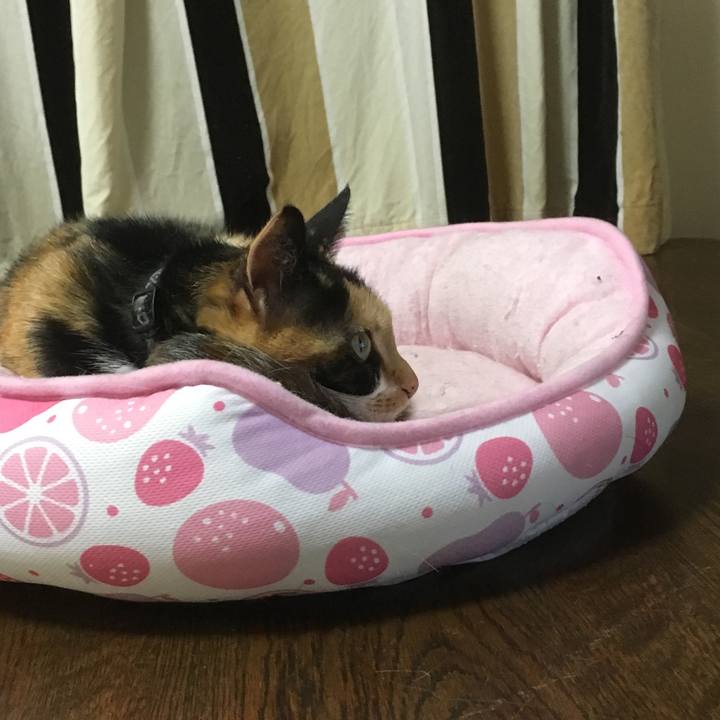 D7f90022 0c2c 4f61 ab4a eda7ee6159de