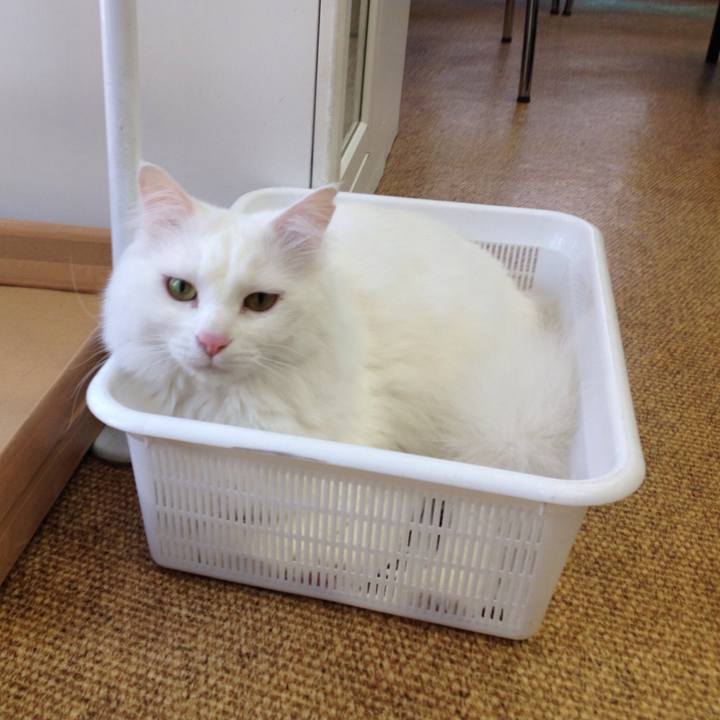 D7f923f0 19b5 447b bb0d bf1b4d95f98b