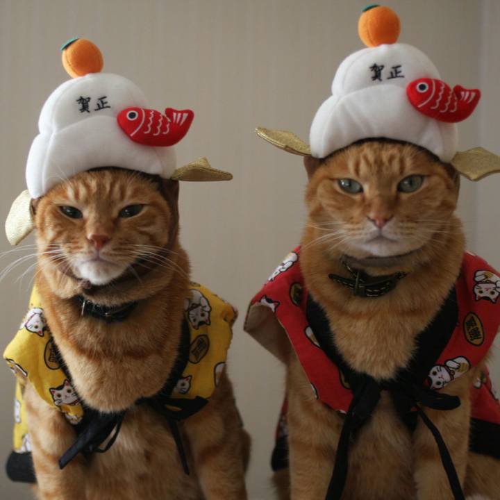 D7f96edf 11ff 4402 8793 e477bc28069e