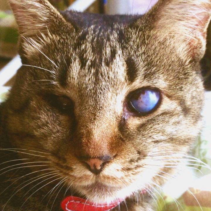 D7fa677a 17c1 476b af9b ec5f0c371717