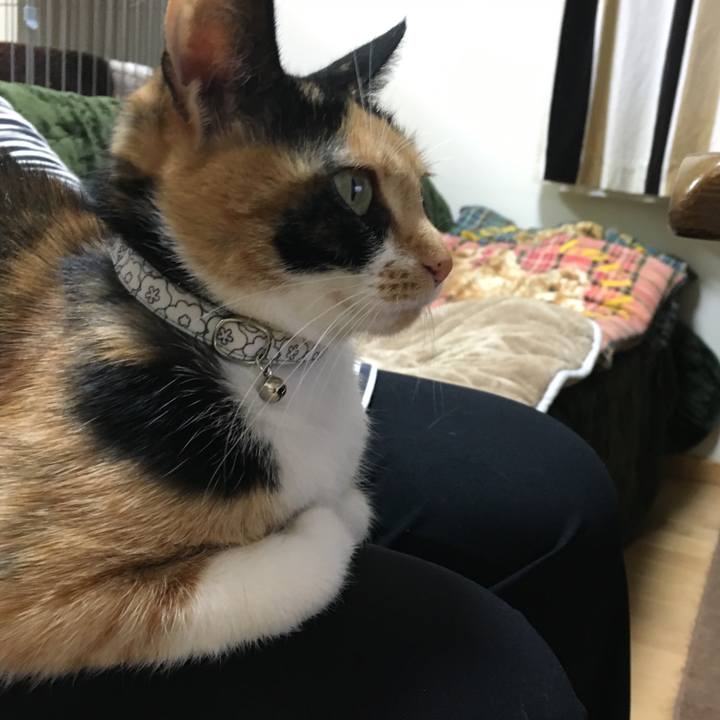 D7fafacb 6f05 48d2 bd3b 8ae29591b667