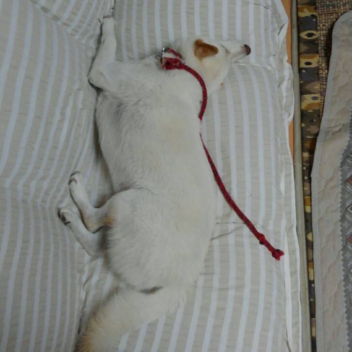 D7fb67d9 c4ca 45be addd 589c31170615