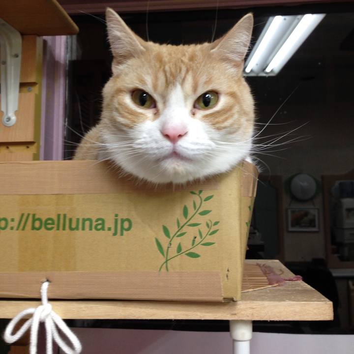 D7fbf2a3 2515 48f6 9d47 c215399ec87f