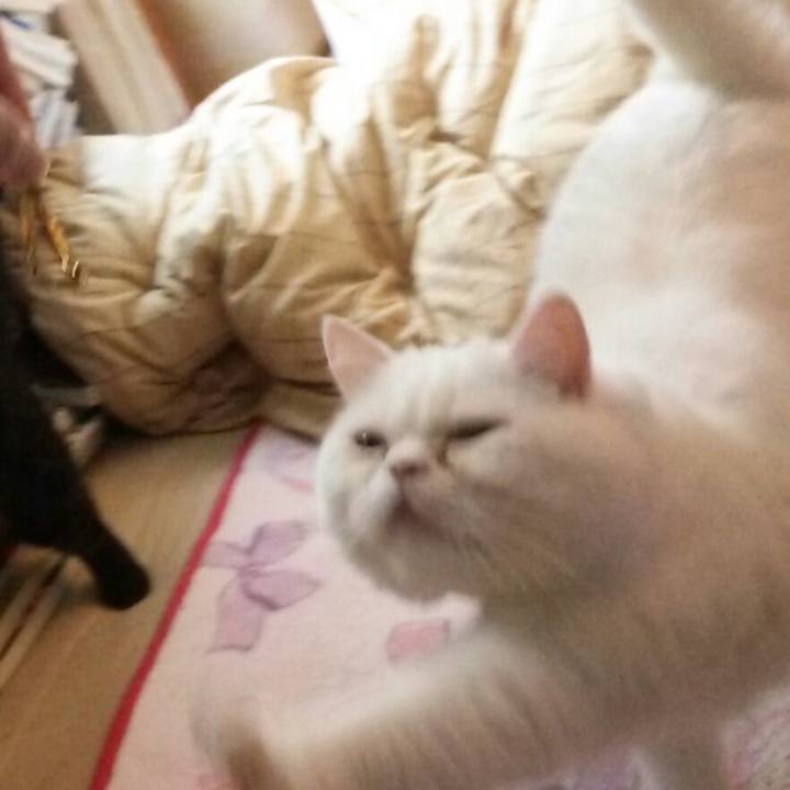 D7fc31f3 0407 4d35 971b bff154861698