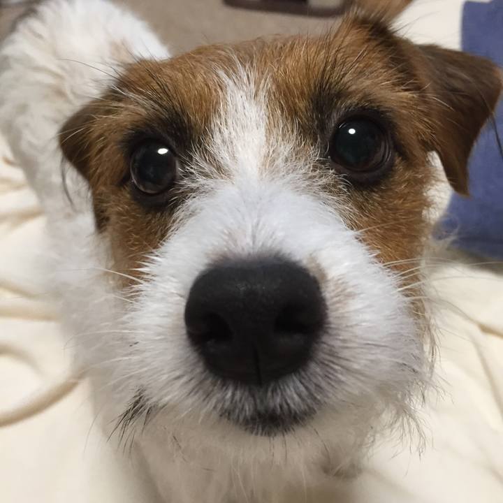 D7fc702f 09bf 45fb 92aa 34f9436e1743