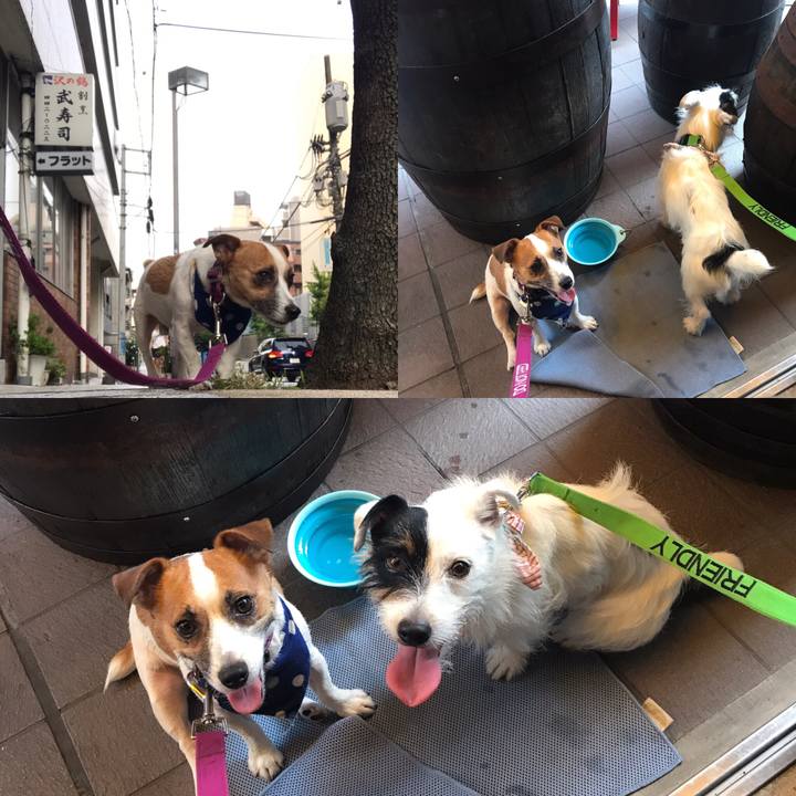 D7fcefe7 3032 4b4e 804b 8dd3750dbdde