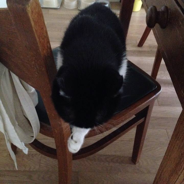 D7fd3a21 2712 4a2a 820b 07c22a0e3570