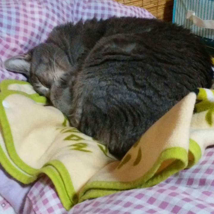 D7fd5a5b 5d48 4c01 8a16 92ce619e8c4d