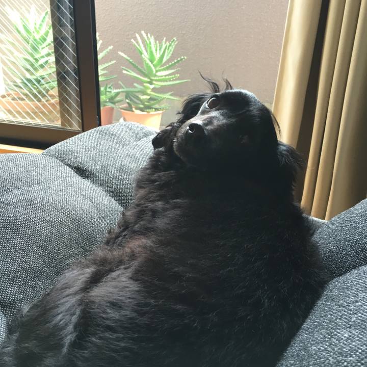 D7fd6eb3 98a3 4b11 8265 e992364ec785