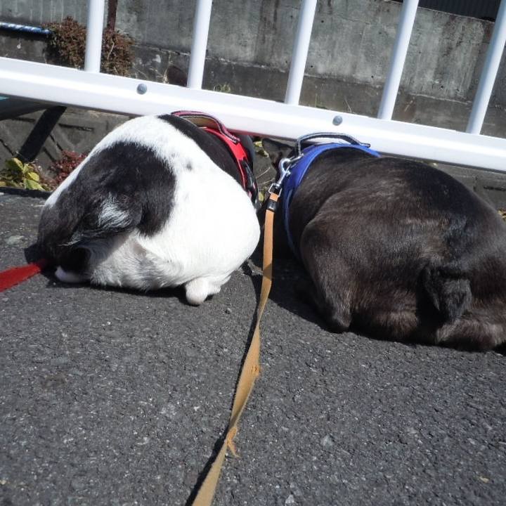 D7fd8b78 4982 46dc a0c3 2230b9fbbb69