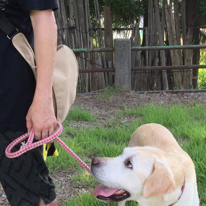 D7fd92b6 dabc 4c00 9039 3048b8c0074a