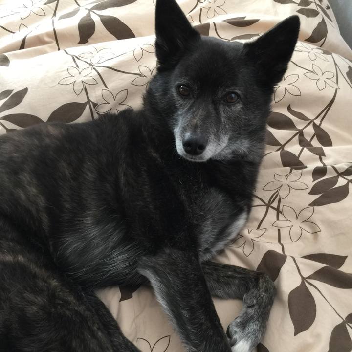 D7fdb470 5b0d 48c6 8dbf a6cbd90d290f