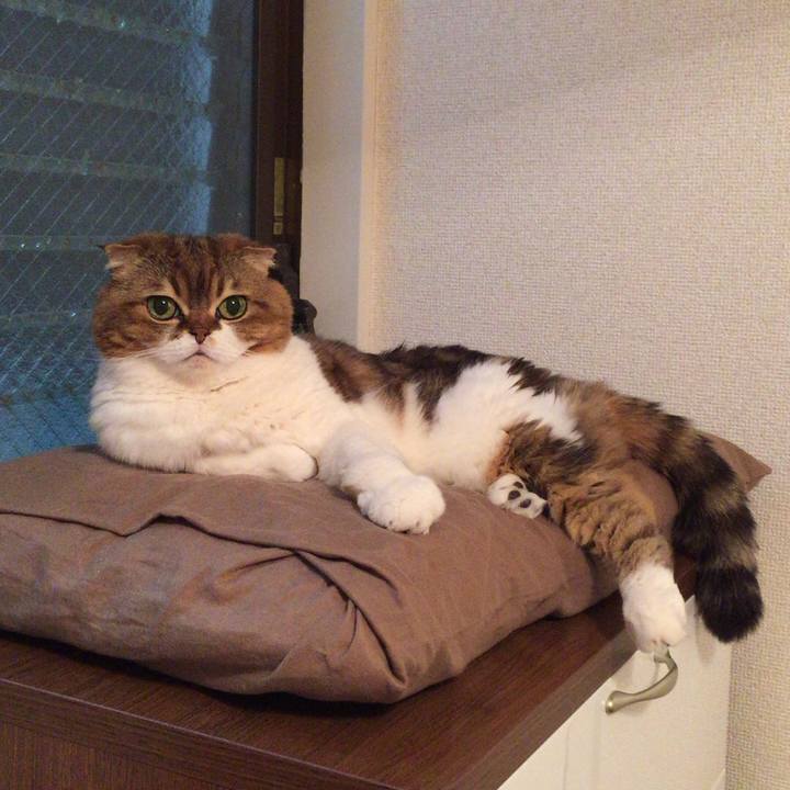 D7fdbd74 8a50 42fc a667 8c1e16ff969c