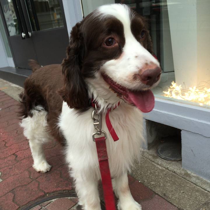 D7fe14e6 7bec 4de8 9b8b 0ad9c8957b4e