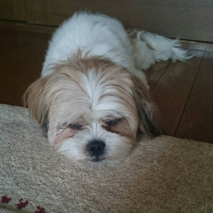 D7fe5874 6b1e 47dd bbbd 92b72aaf0dba