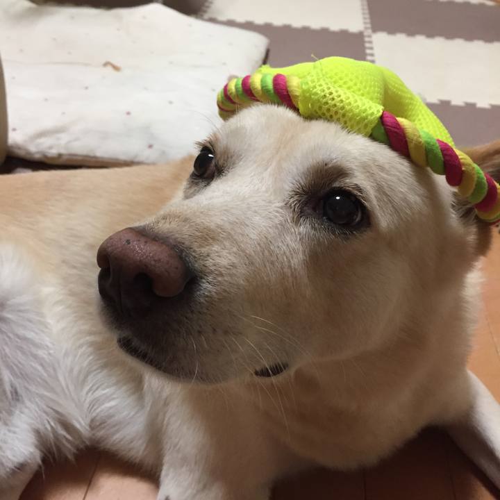 D7fee837 40d2 4c48 bb5d 0fca4de06e5d