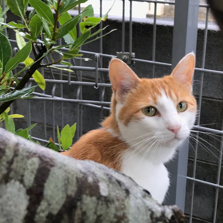 D7fef0cd e0b8 49bf b52a e85b3dca9c43