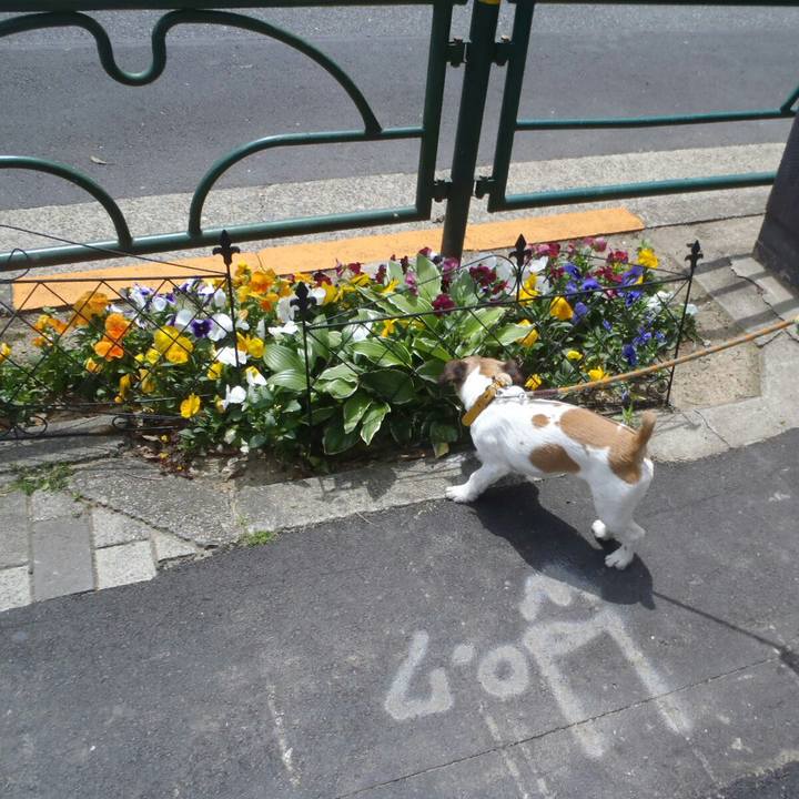 D7ff1357 c41a 4297 9b63 2393806031dc