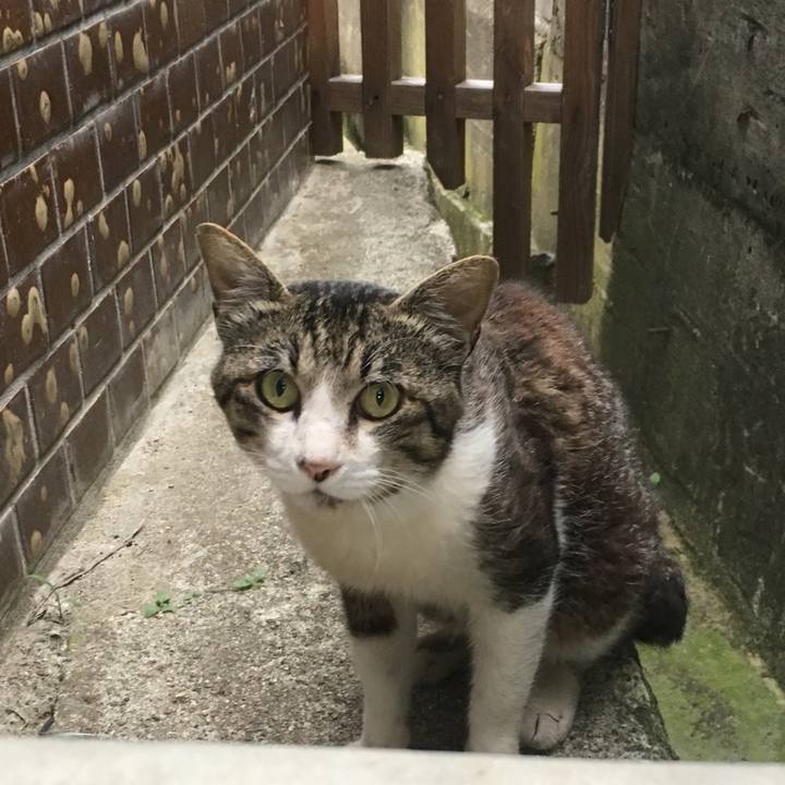 D7ff2750 d1e8 456a bc39 167b4ad323d8