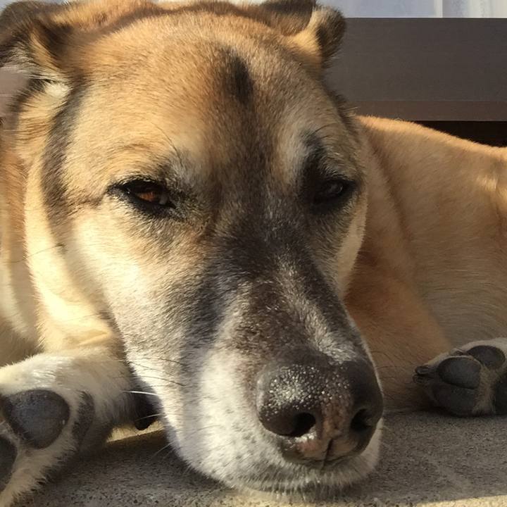 D8008400 f231 4904 ba89 ce4861cece06