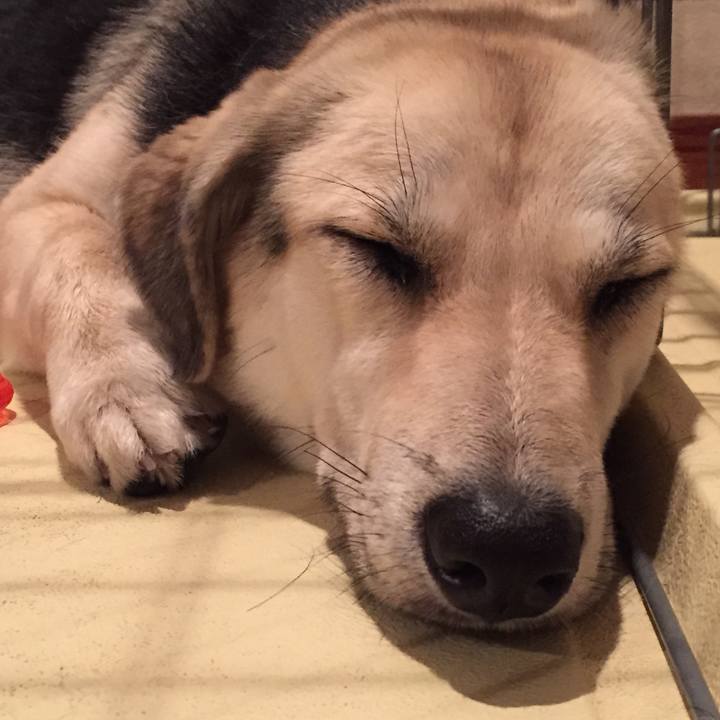 D8008b9e 25de 487b 9104 85b079f4cbb6