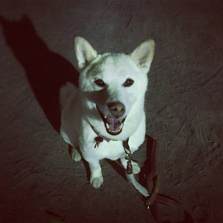 D800bee7 2746 4d4b bebc 35d397c62930