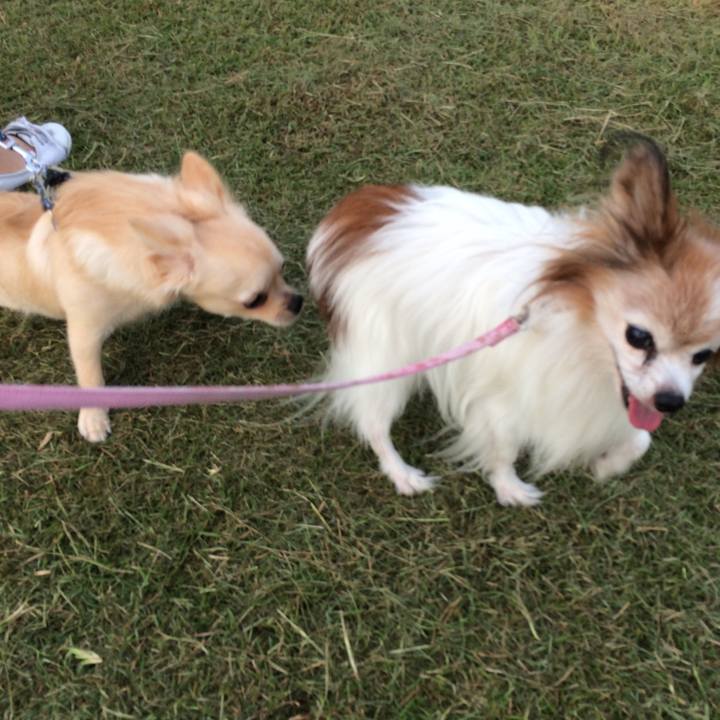 D800ea3a 3dcc 4a64 9df8 199115643fed