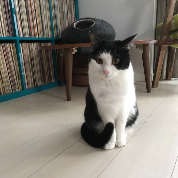 D8021b58 5352 438d 999c c587dfb48166