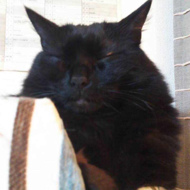 D802440a ba8c 4847 b765 c49c87720a76