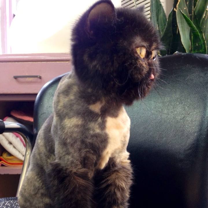 D802679a 7b10 4ab1 beec f0c328219ff4