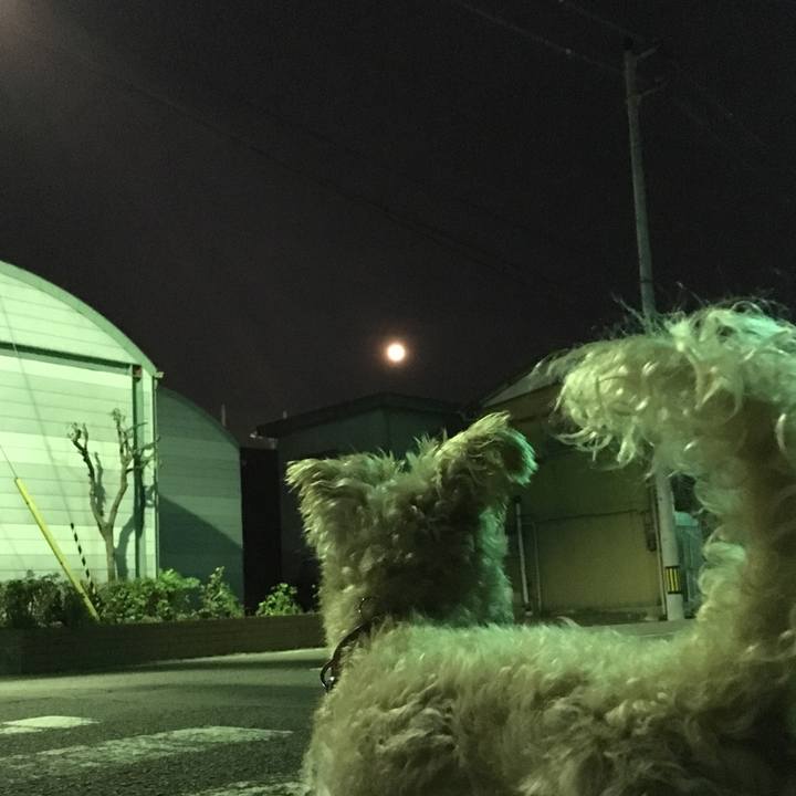 D802da53 dfd5 4721 ab97 5e48db73aa99