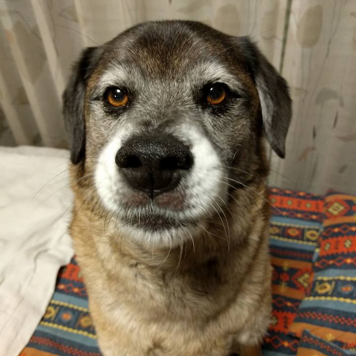 D803122b 7005 495e b63e 9e5bc10890f5