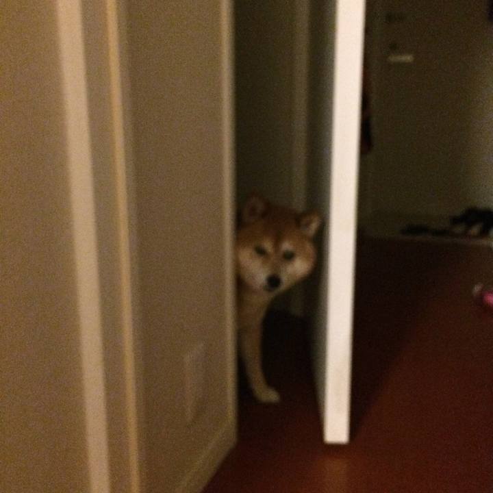 D803aa36 7570 46cb b824 e5b6b6466624