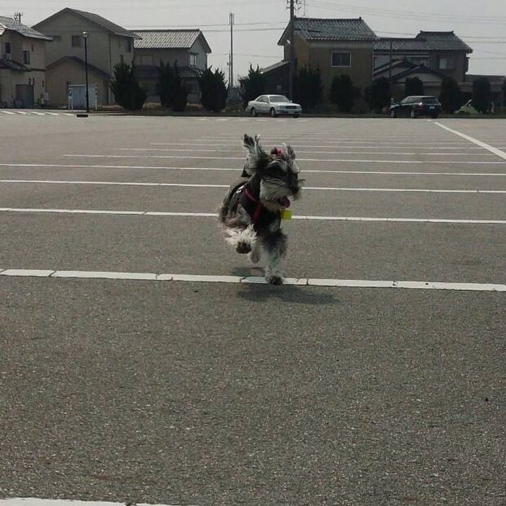 D803fe27 0045 4060 b2ed 9704a96540f7