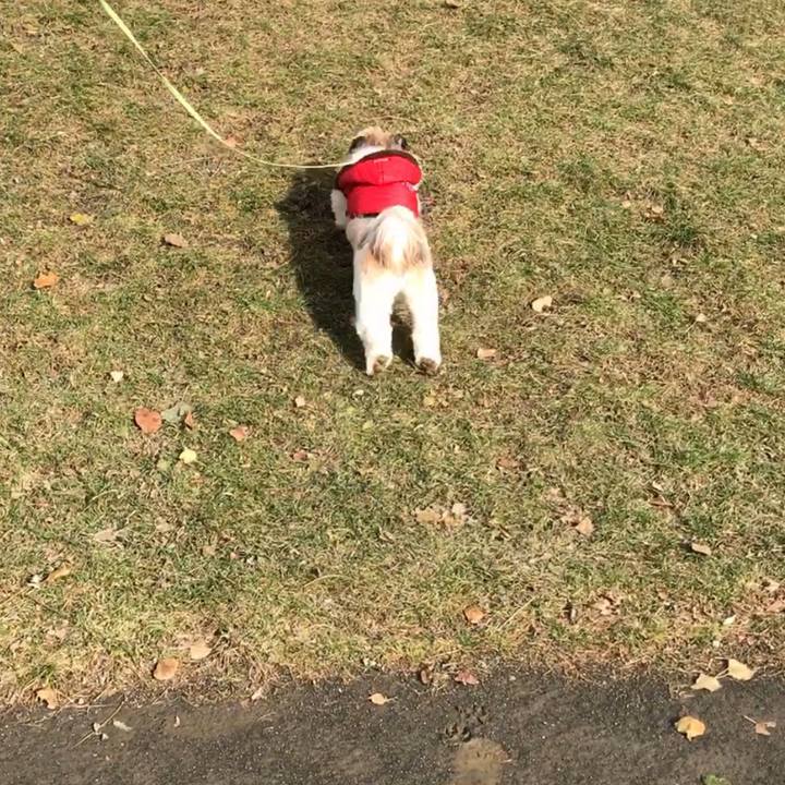 D804106a 5ee5 457f 9534 72f436a1ea2a