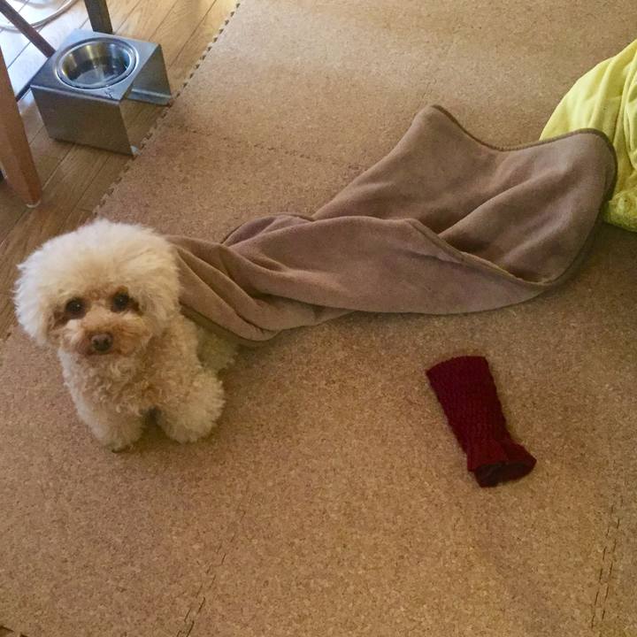 D8041ad6 d964 4f1b 80d9 9f5b5fbd9406