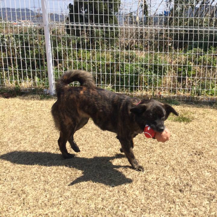 D80455dd 8a4f 4fec b57d c8638a5a32d1